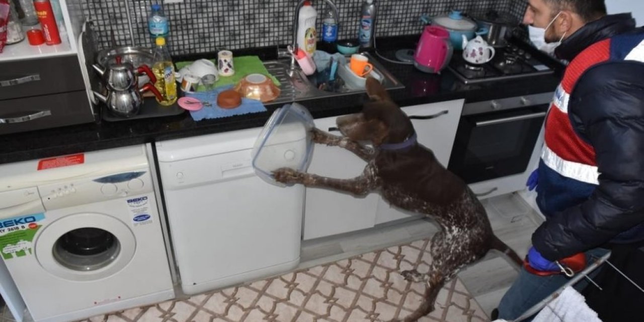 Köpek Timi İle Uyuşturucu Operasyonu: 4 Gözaltı