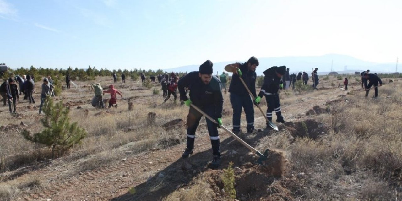 Büyükşehir Ulaşım A.ş.’den Hatay’a 700 Fidan