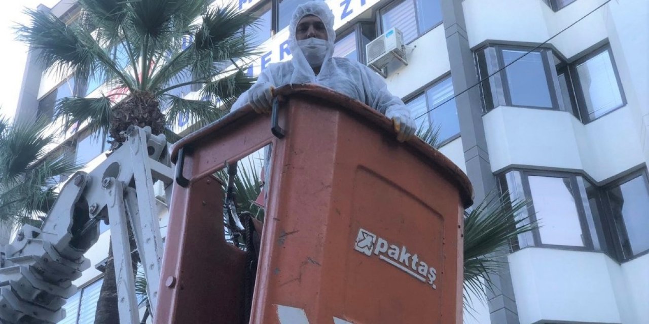 Konak’ta Palmiyelere Enjeksiyonlu Koruma