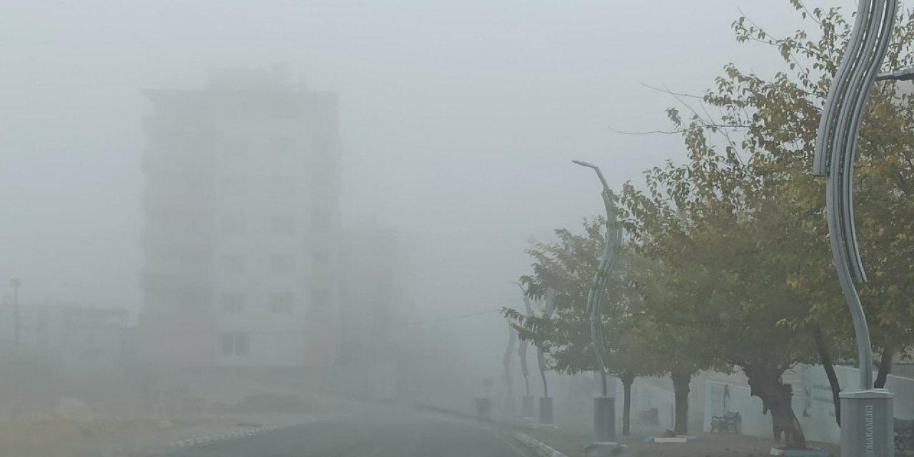 Gercüş’te Yoğun Sis Sürücülere Zor Anlar Yaşattı