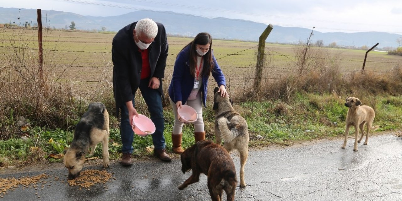 Efeler Belediyesi Can Dostları Unutmadı