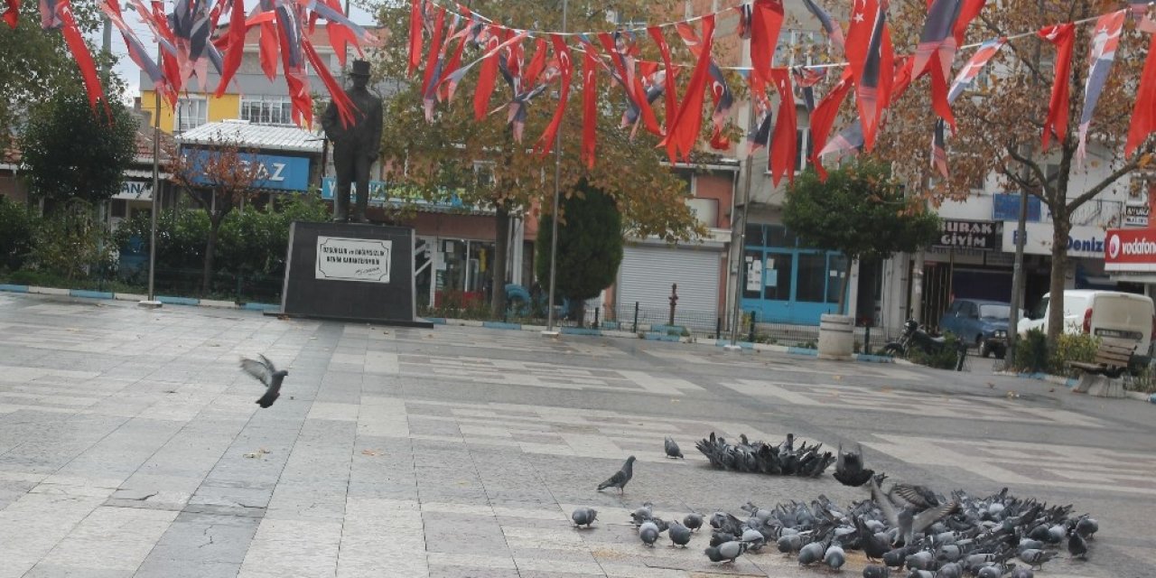 Manyas’ta Meydanlar Kuşlara Kaldı