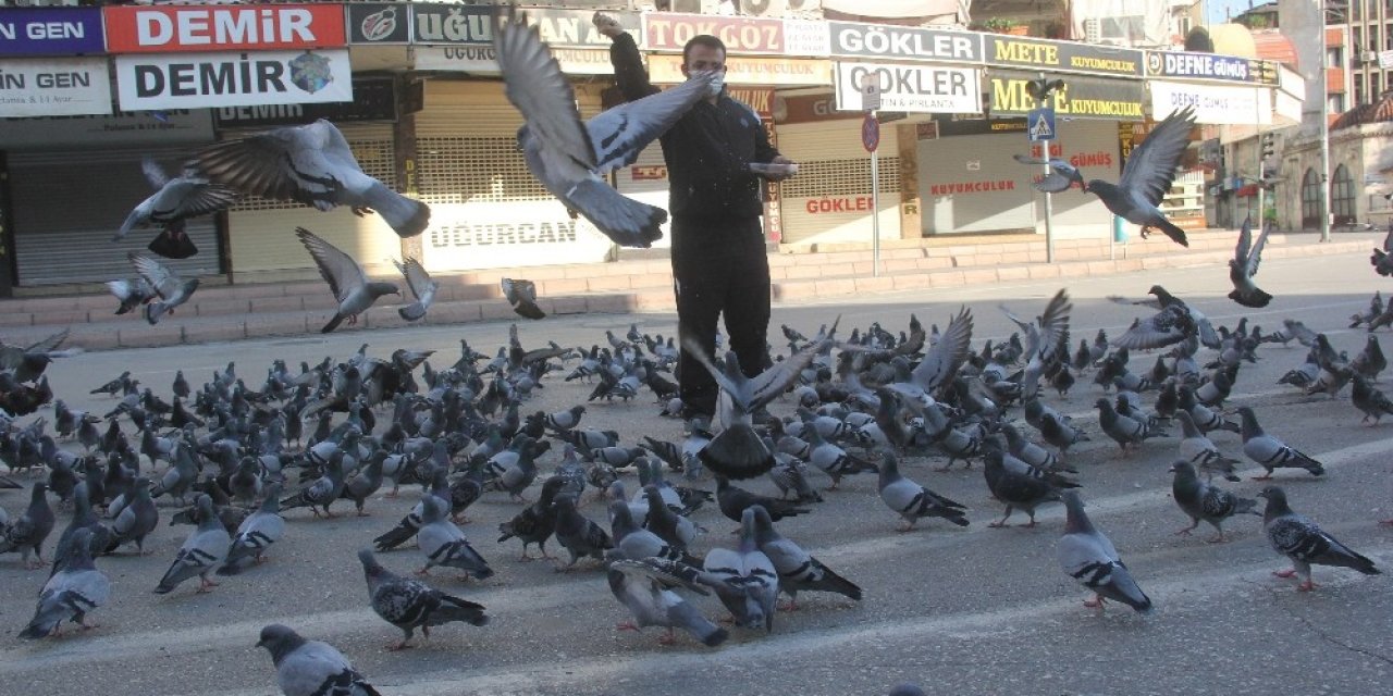 Sokağa Çıkma Kısıtlamasında Güvercinleri Besledi