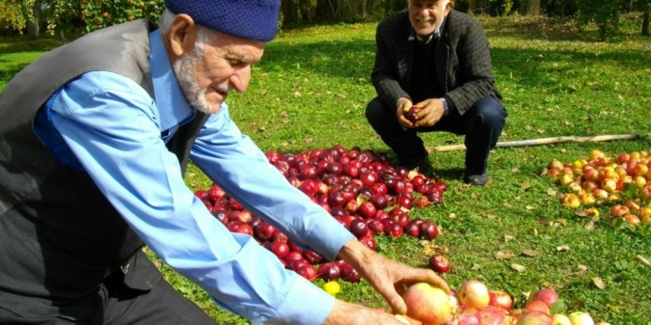 ‘posof’lu Eller Yöresel Ürünler Projesi’ Tanıtıldı
