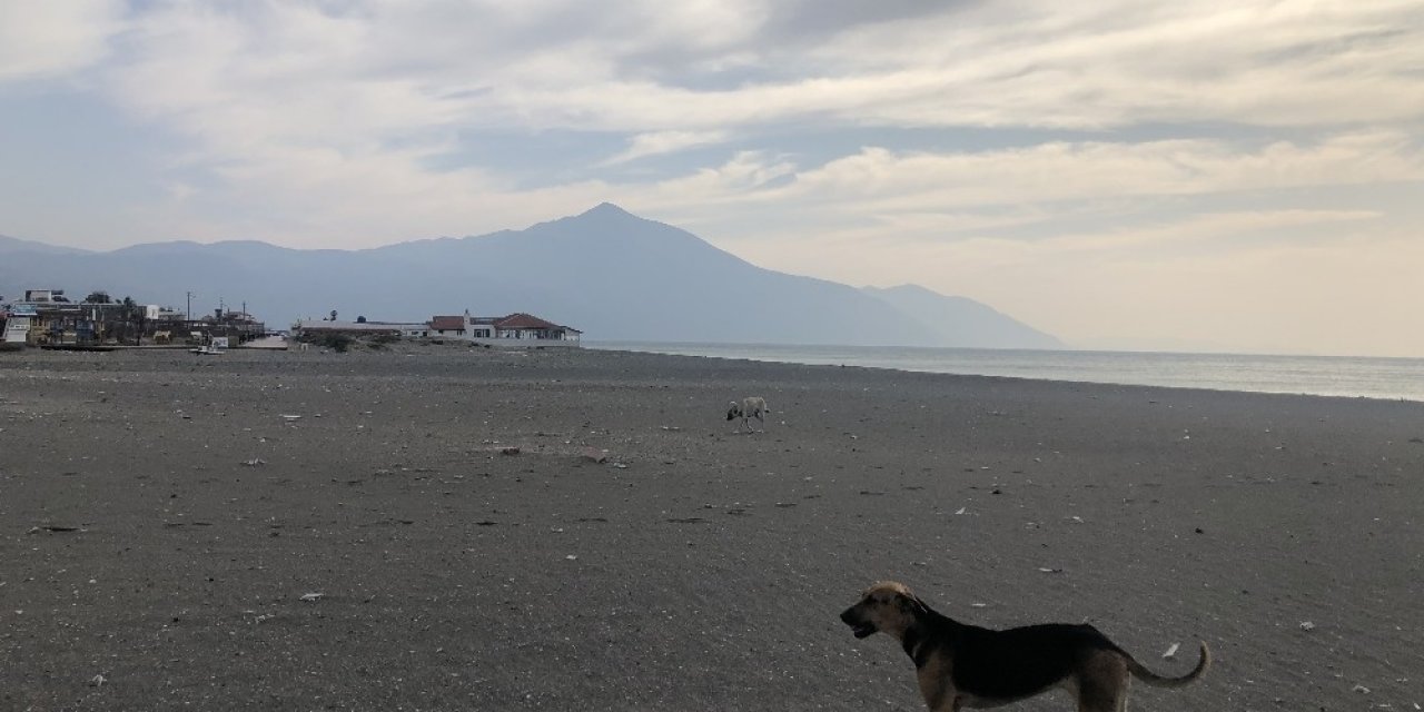 En Uzun Sahil Sokağa Çıkma Yasağında Sessizliğe Büründü