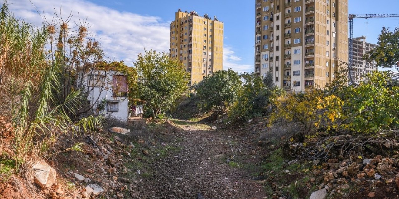 Ay Deresi Yeşilleniyor