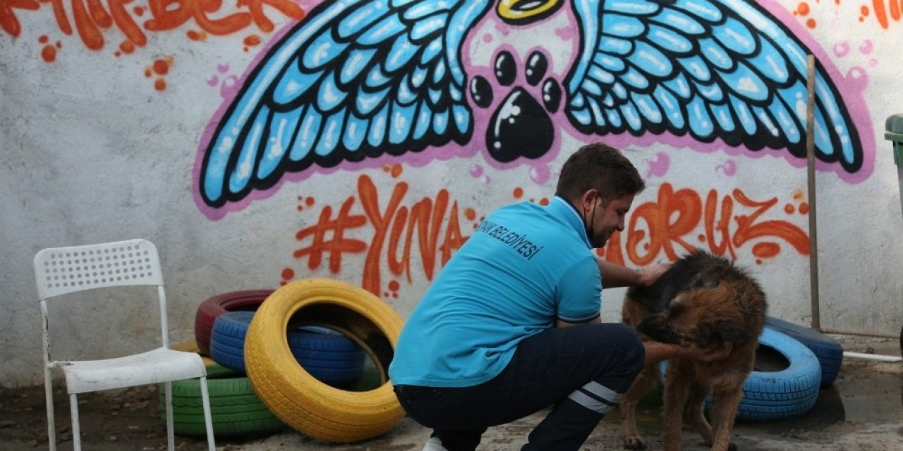 Konak’ta Can Dostlar İçin Stk’larla İşbirliğine Devam
