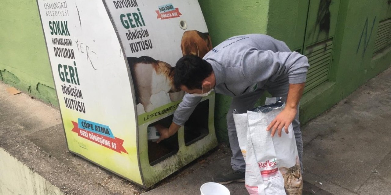 Osmangazi’de Sahipsiz Hayvanlar Besleniyor