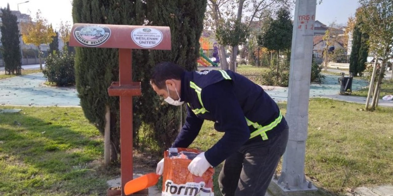 Serdivan Belediyesi, Sokak Hayvanlarını Yalnız Bırakmadı