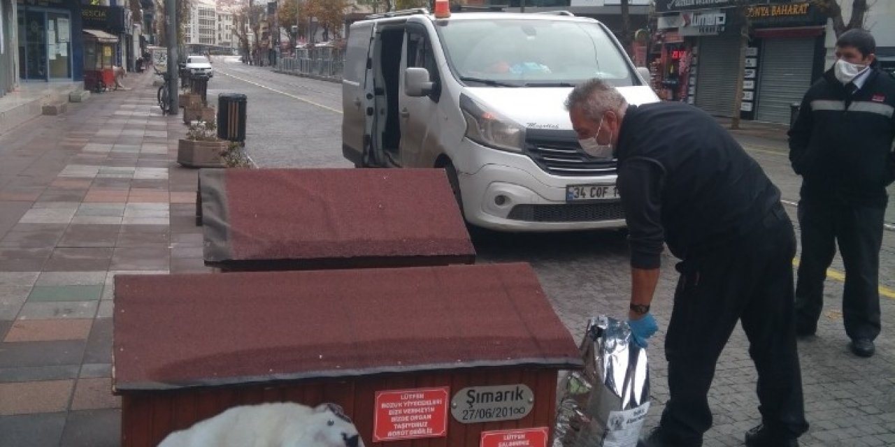 Odunpazarı Belediyesi Sokakta Yaşayan Hayvanları Unutmadı