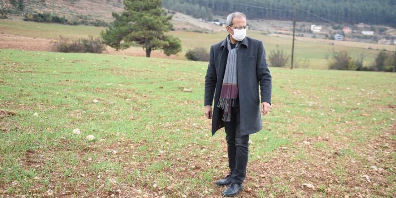 Tarsus’ta ’ata Tohumu’ Projesi Toprakta Hayat Buldu