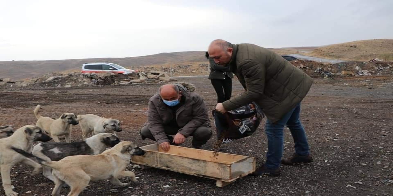 Yahşihan’da Sokak Hayvanları Unutulmadı