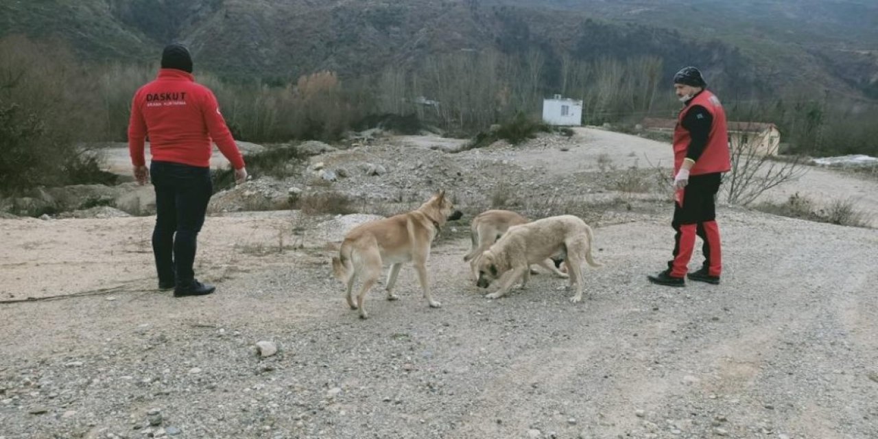 Kimsesiz Hayvanları Unutmadılar