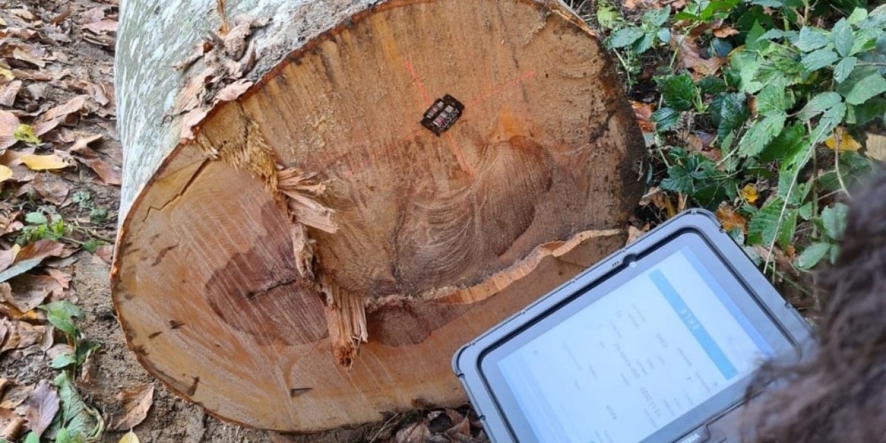 Ormanda ’barkod’ Sistemi