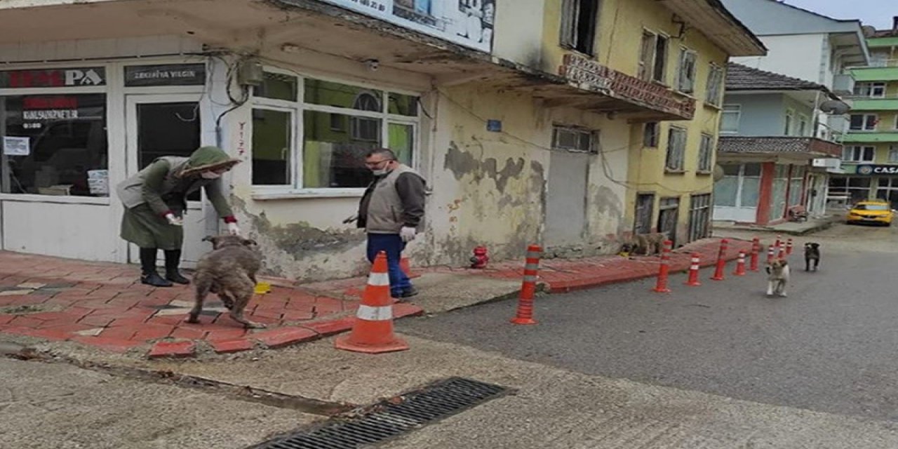 İnsanlar Evlere Kapanınca Görev Dkmp Ekiplerine Düştü