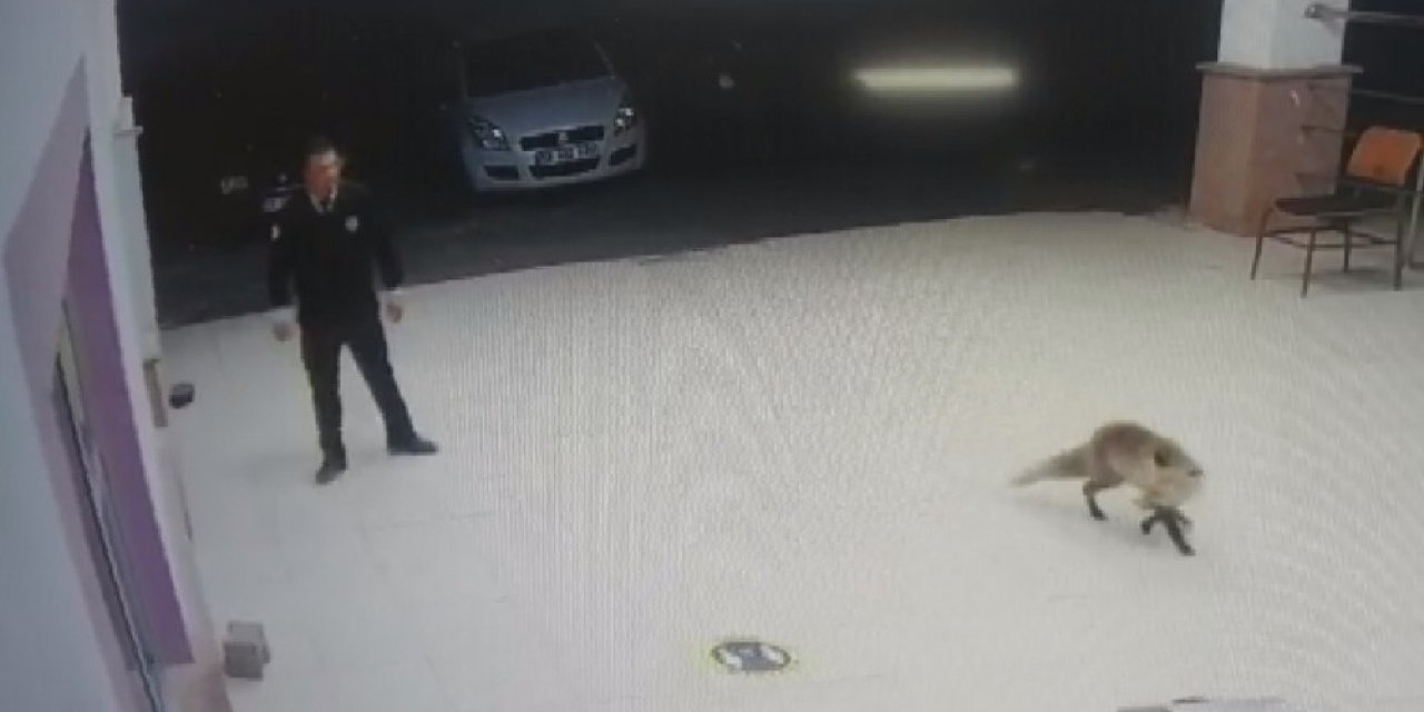 ’besle Tilkiyi, Çalsın Anahtarını’