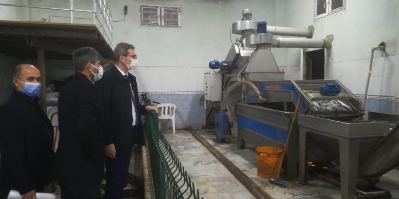 Zeytinyağı Fabrikalarında Korona Denetimi
