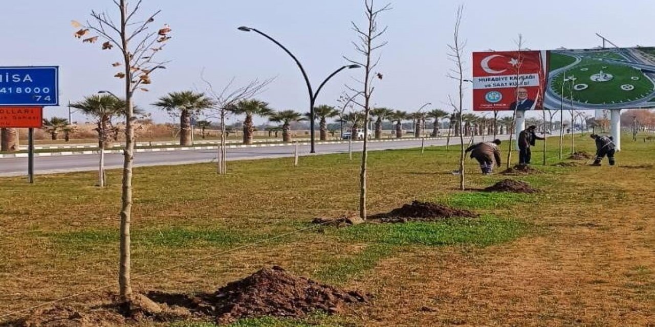 Büyükşehirden Ağaçlandırma Seferberliği