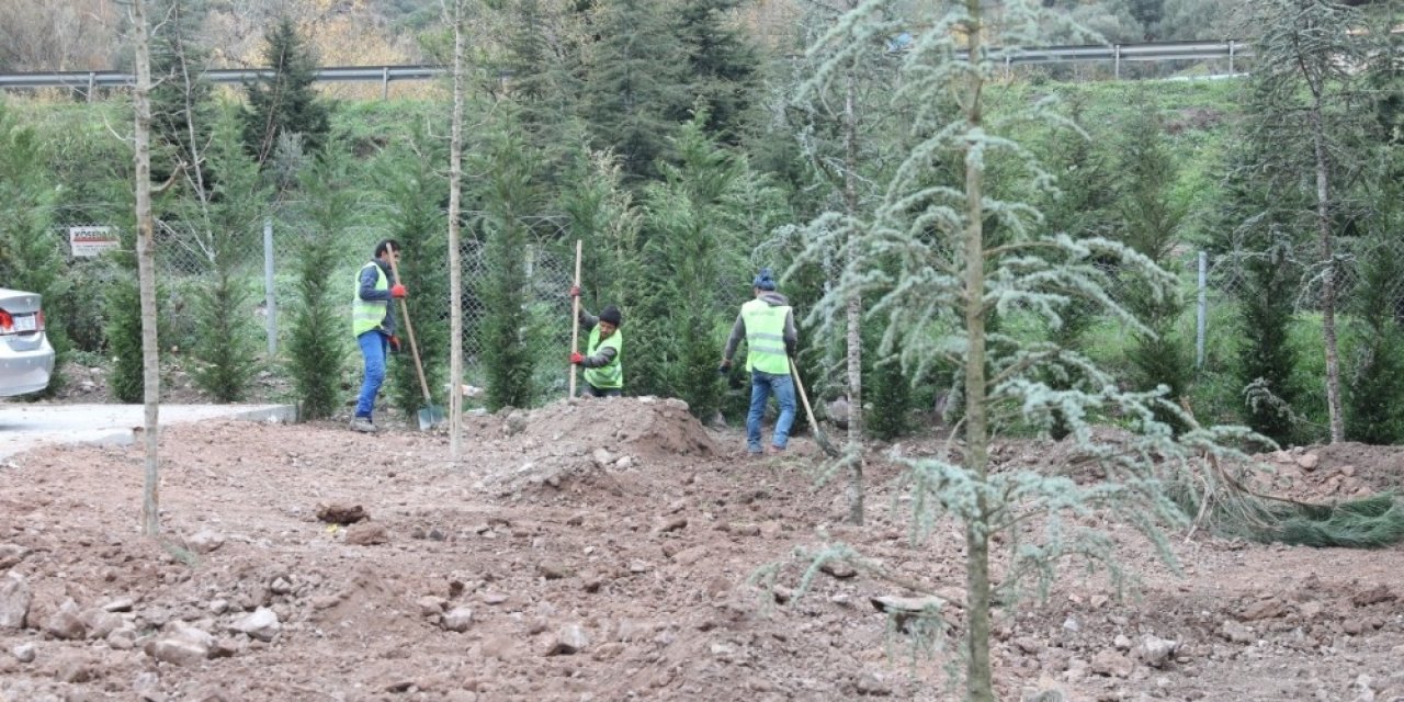 Körfez’de Yeşil Alanlar Arttırılıyor