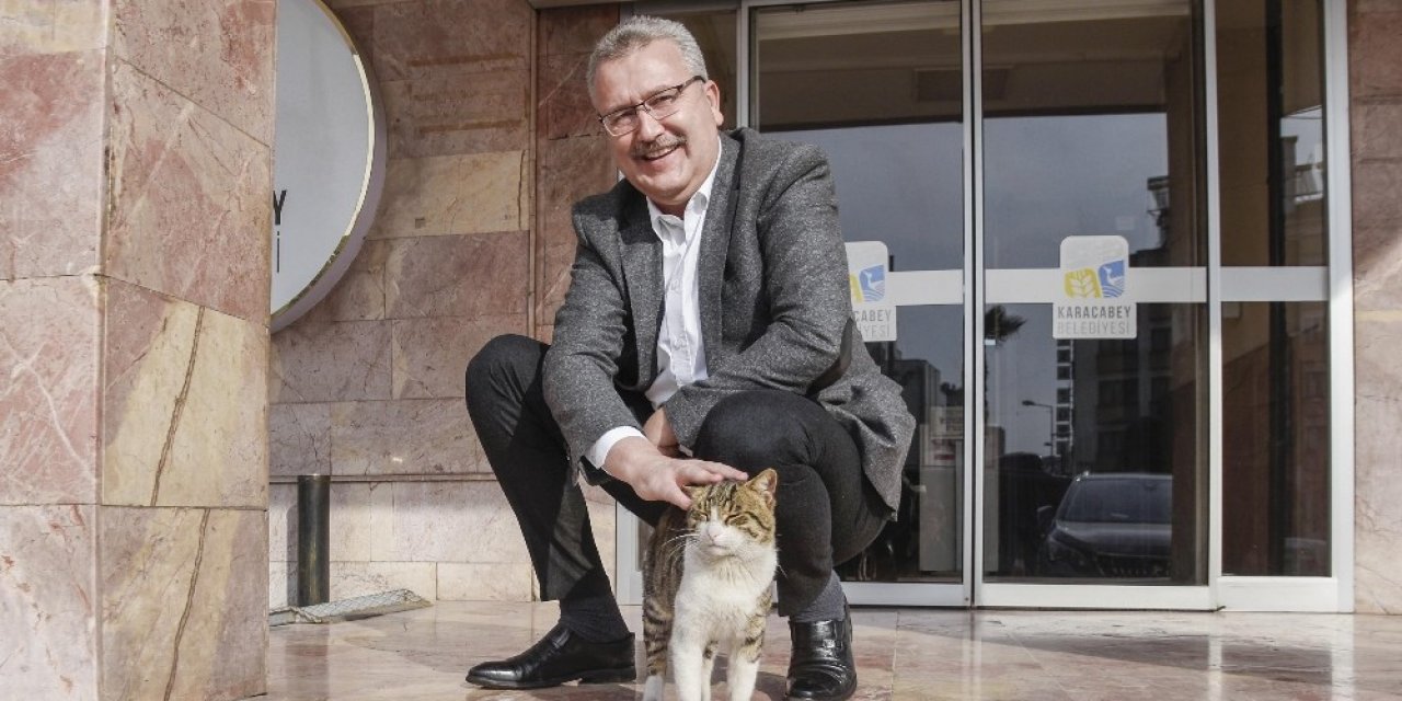 Karacabey Belediyesi Pandemide De Can Dostlarımızı Unutmuyor