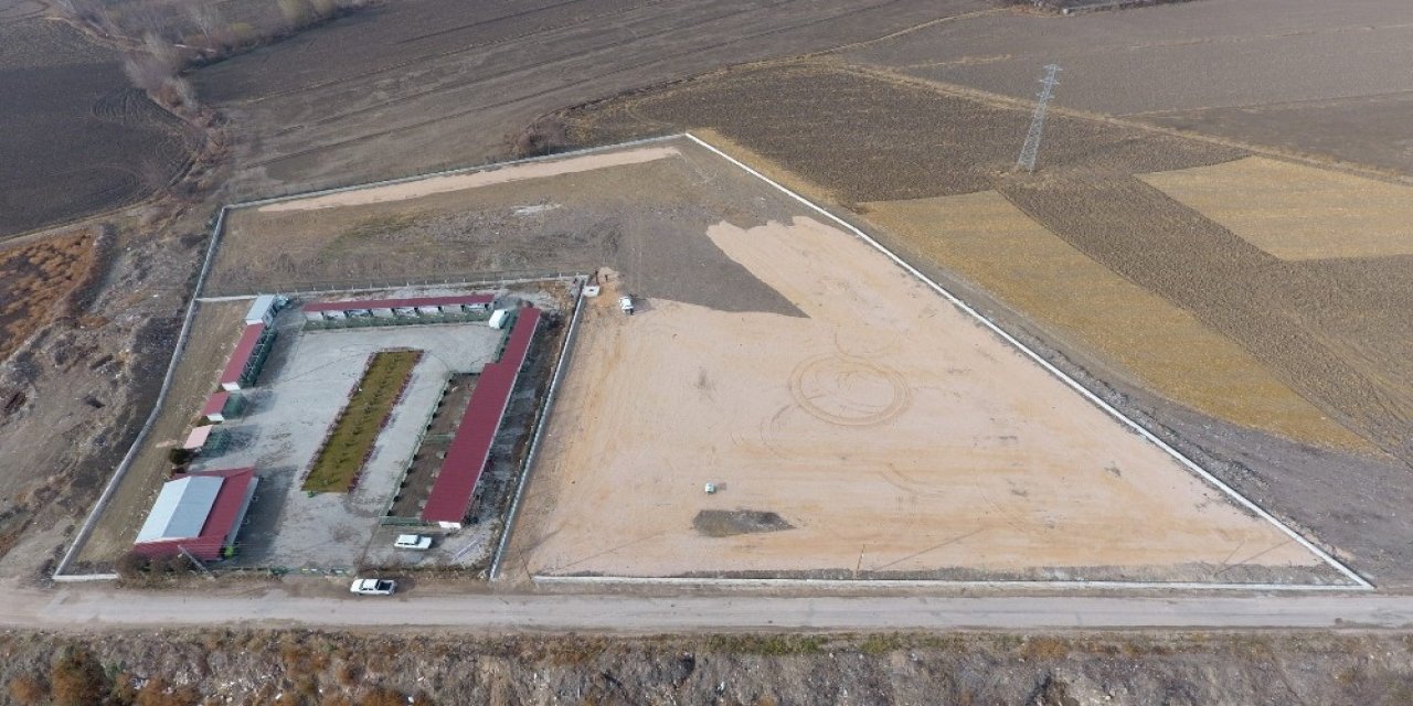 Suluova’da Can Dostlar İçin Mevcut Alan 3 Katına Çıkarılıyor