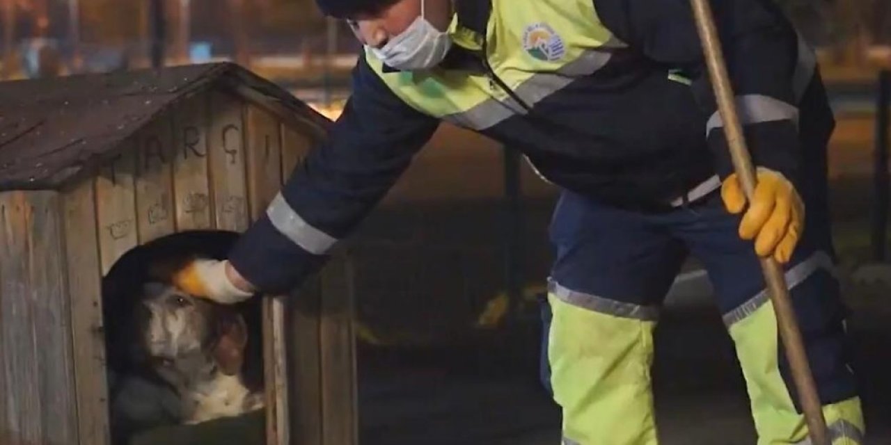 Siz Evde Kalın, Onlar Bize Emanet