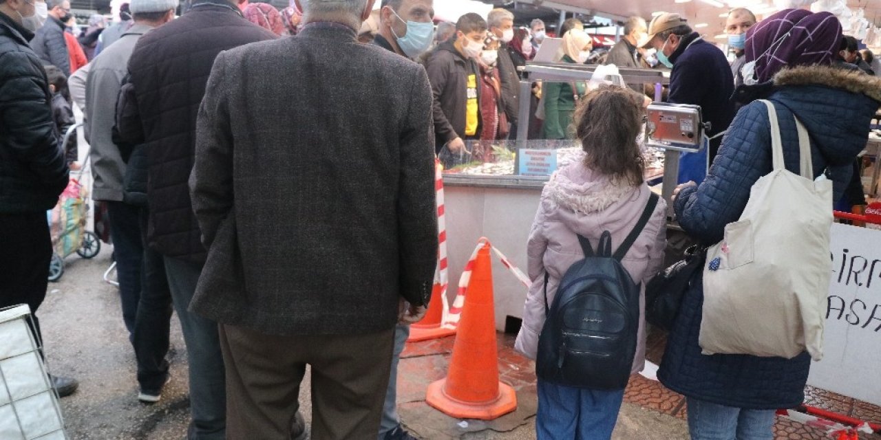 Bolu’da, 15 Liradan Satılan Hamsi Kuyruk Oluşturdu