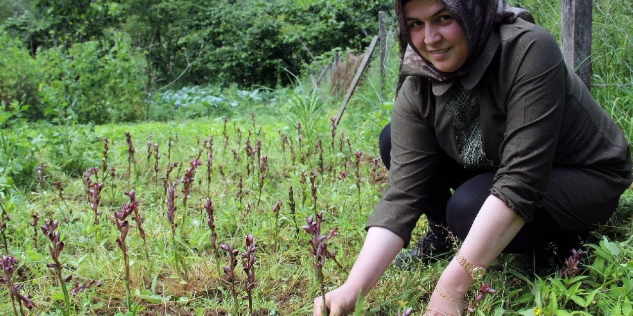 Kilosu Bin 400 Tl’den Satılan Ürüne Hibe Desteği