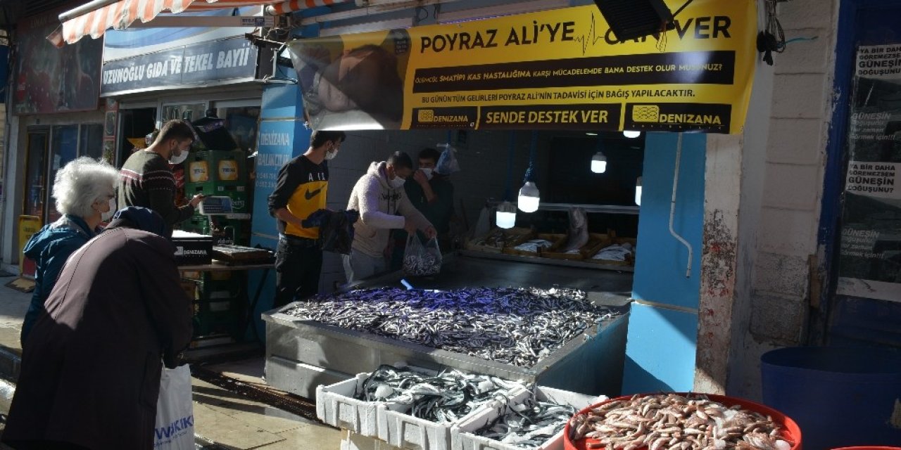 Sinoplu Balıkçıdan Poyraz Ali’ye Destek: Bedava Hamsi Dağıttılar