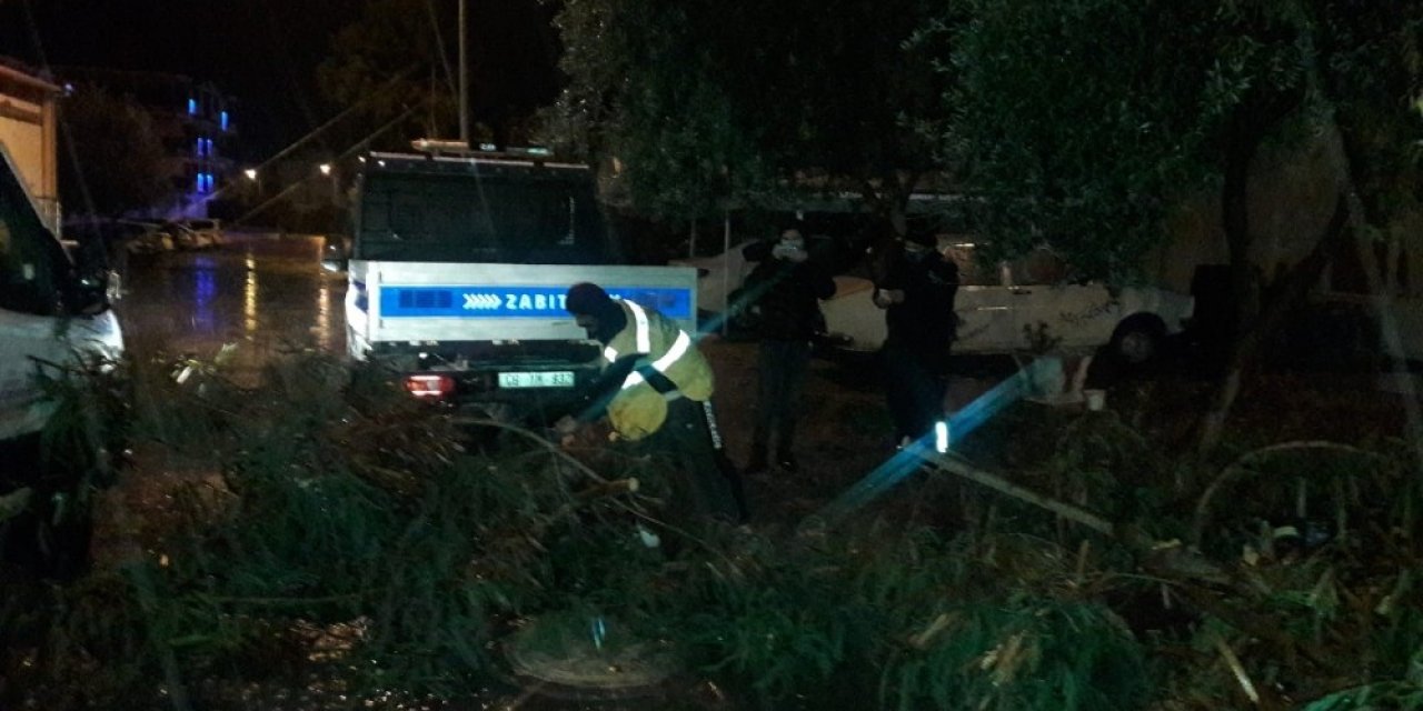 Didim’deki Parklarda Temizlik Çalışmaları Devam Ediyor