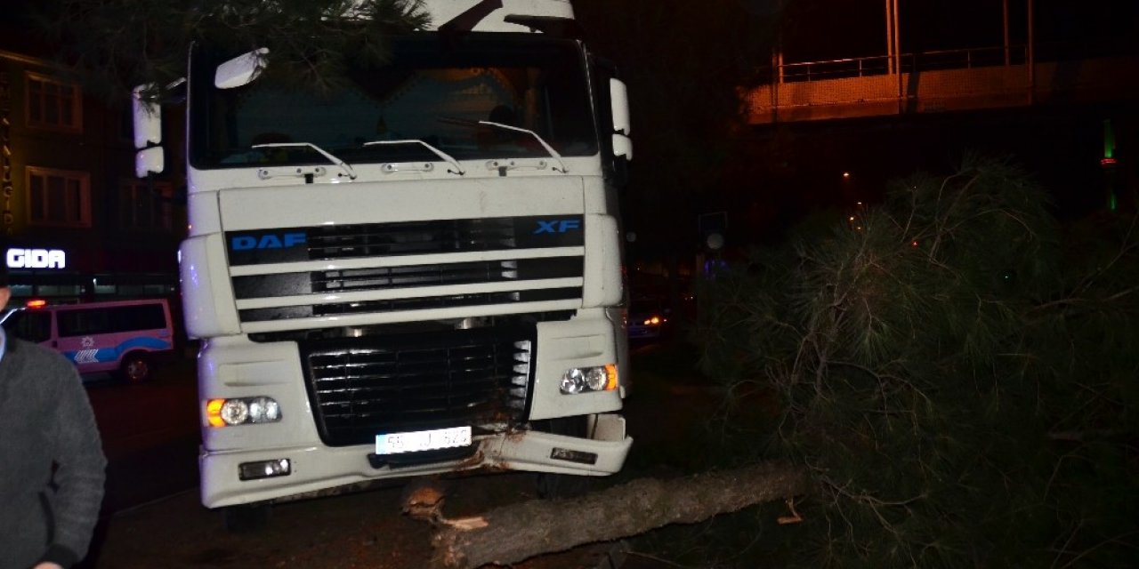 Samsun’da Kontrolden Çıkan Tır Ağaca Çarptı