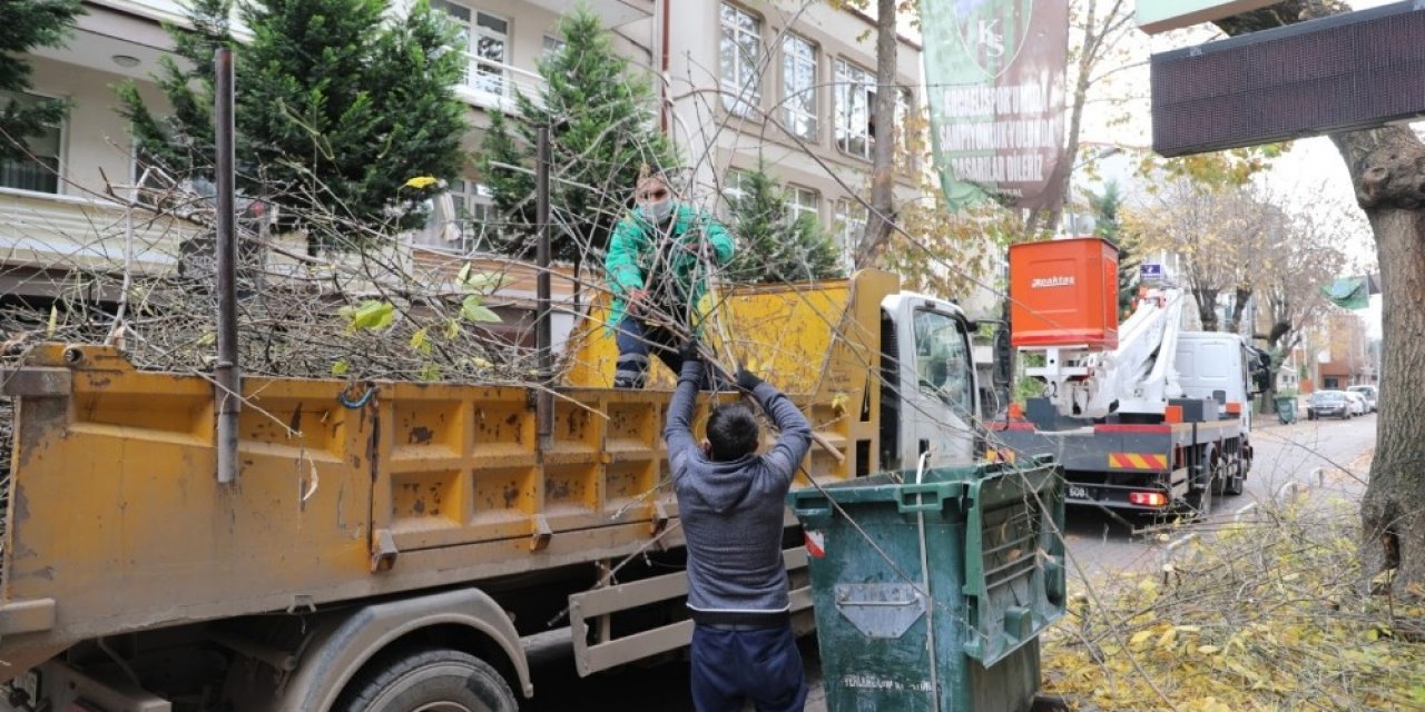 İzmit’te Budama Çalışmaları Devam Ediyor