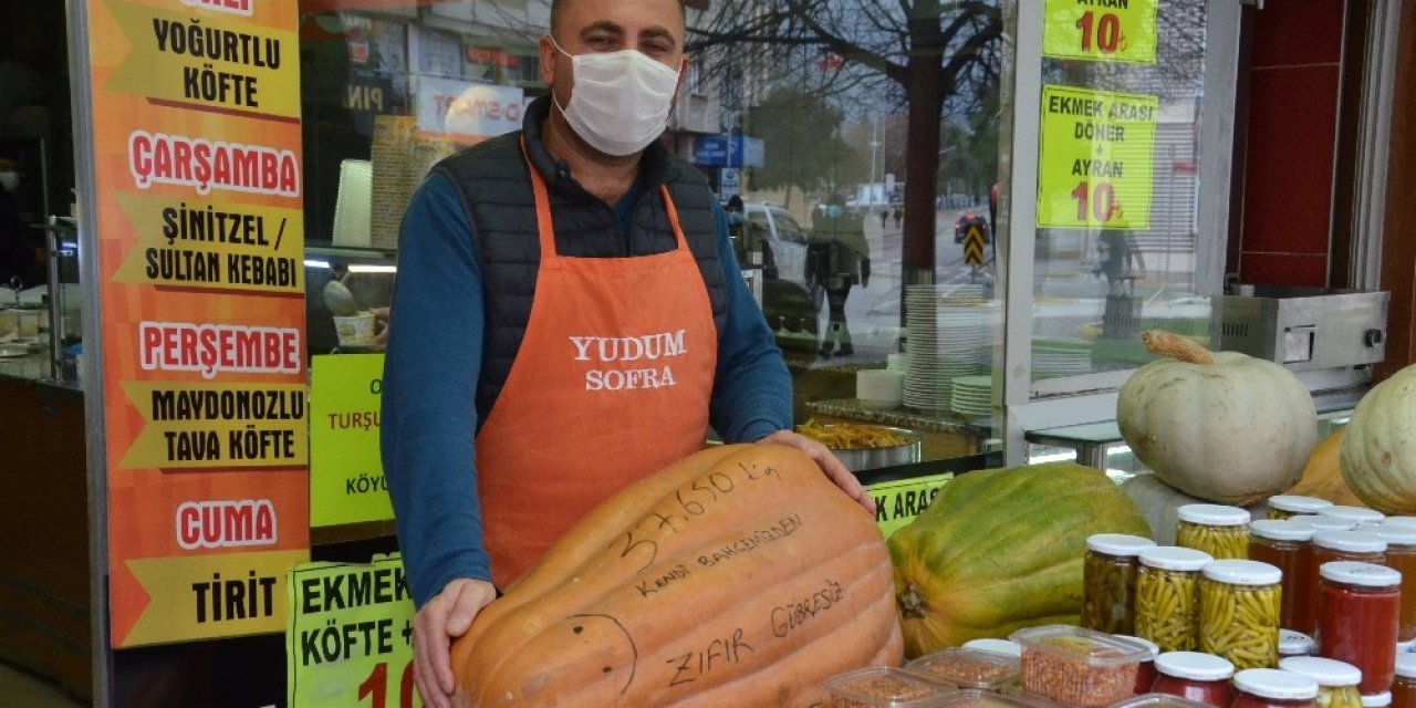 Dev Kabaklar İlgi Odağı Oldu