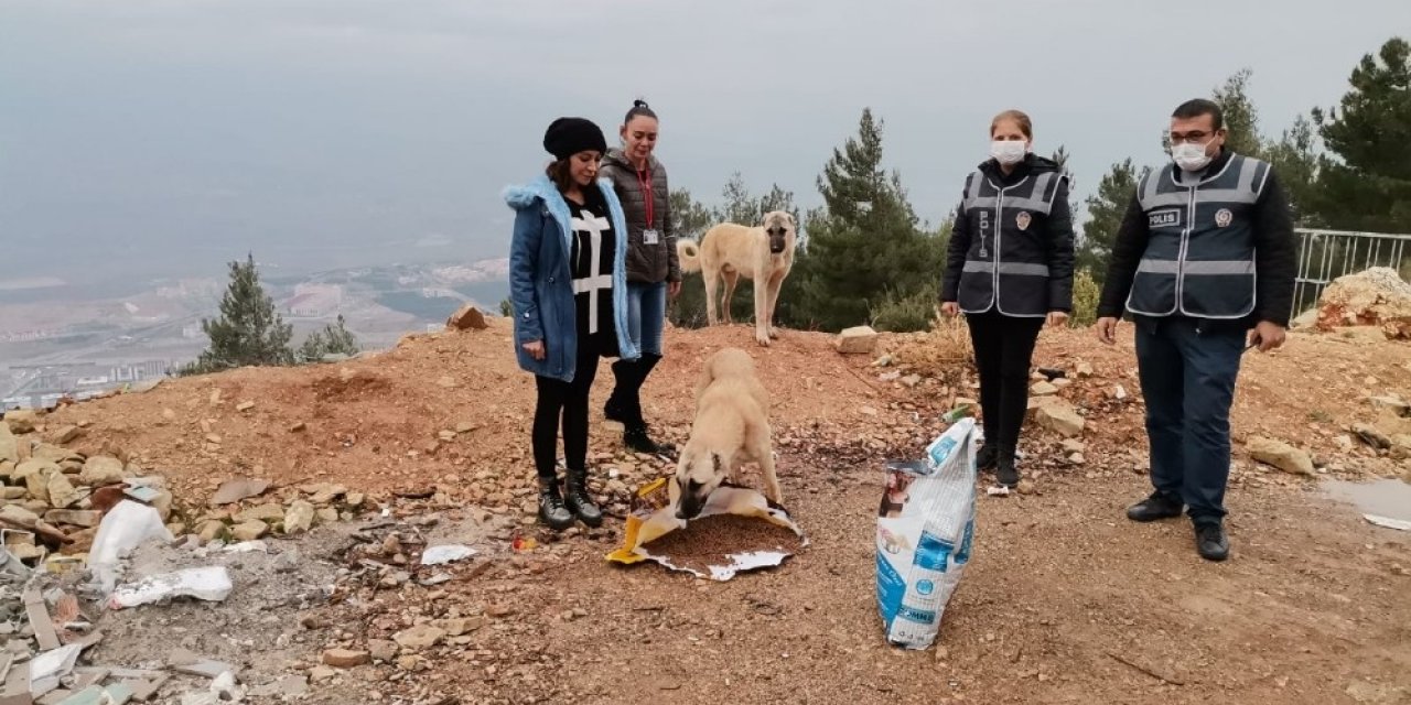 Polisten Sokak Hayvanlarına Mama