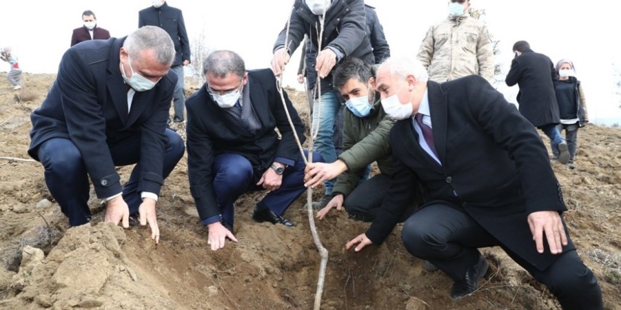 1 Milyon Ceviz Fidanı Toprakla Buluşacak