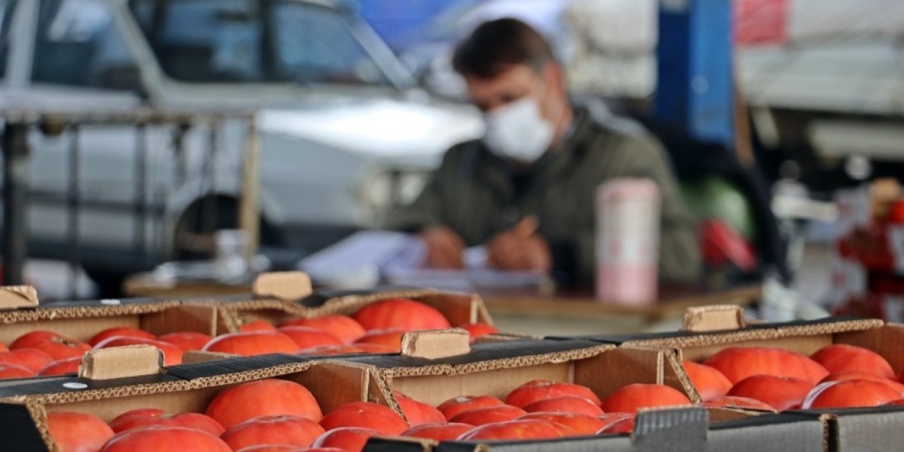 Domates İhracatı Yasağı Yeniden Gözden Geçirilsin