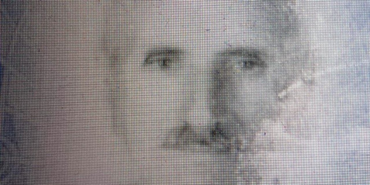 Kestiği Ağacında Altında Kalarak Can Verdi