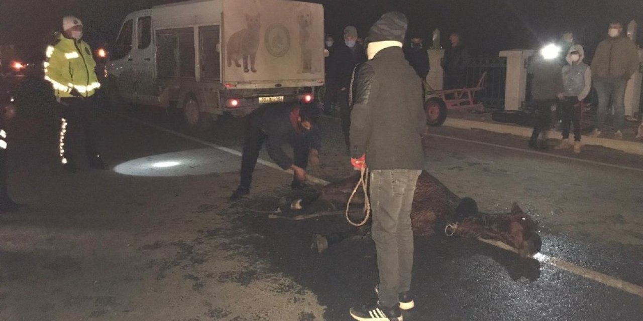 Saatlerce Soğukta Tedavi Edilmeyi Bekledi
