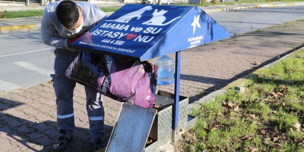 Küçükçekmece’de Kısıtlamalarda Sokak Hayvanları Unutulmuyor