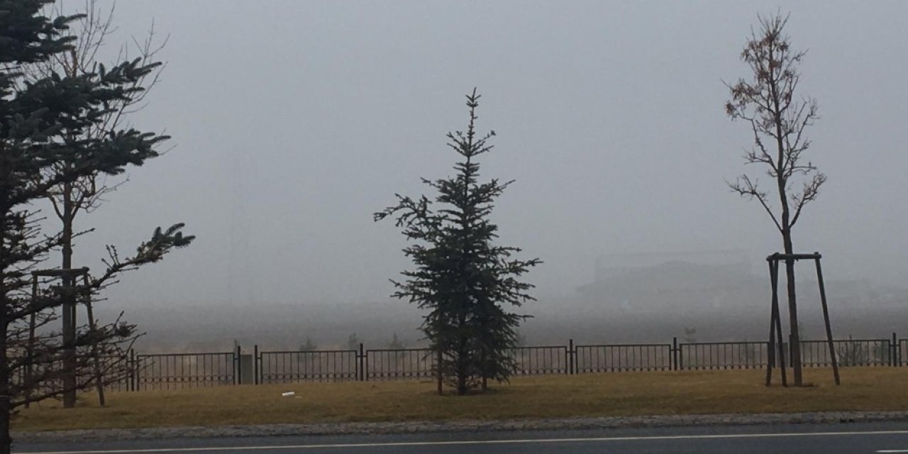 Erzurum Güne Sisle Uyandı