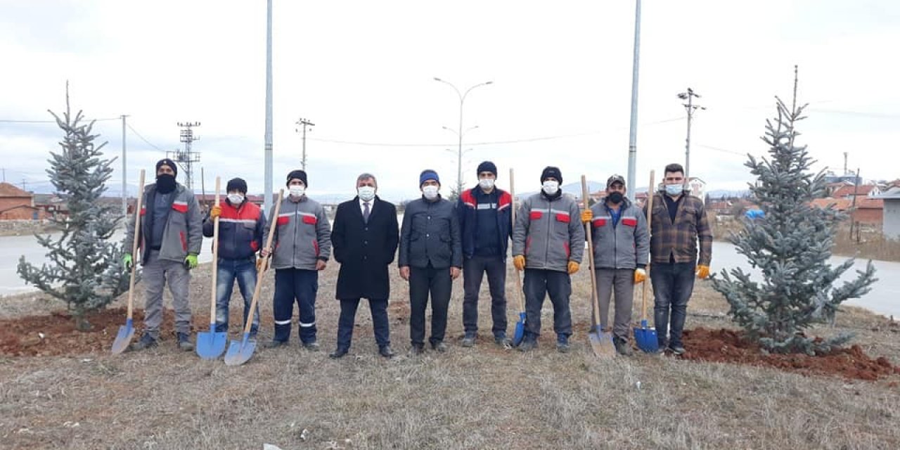 Altıntaş’ta Çevre Yolu Ağaçlandırma Çalışmaları