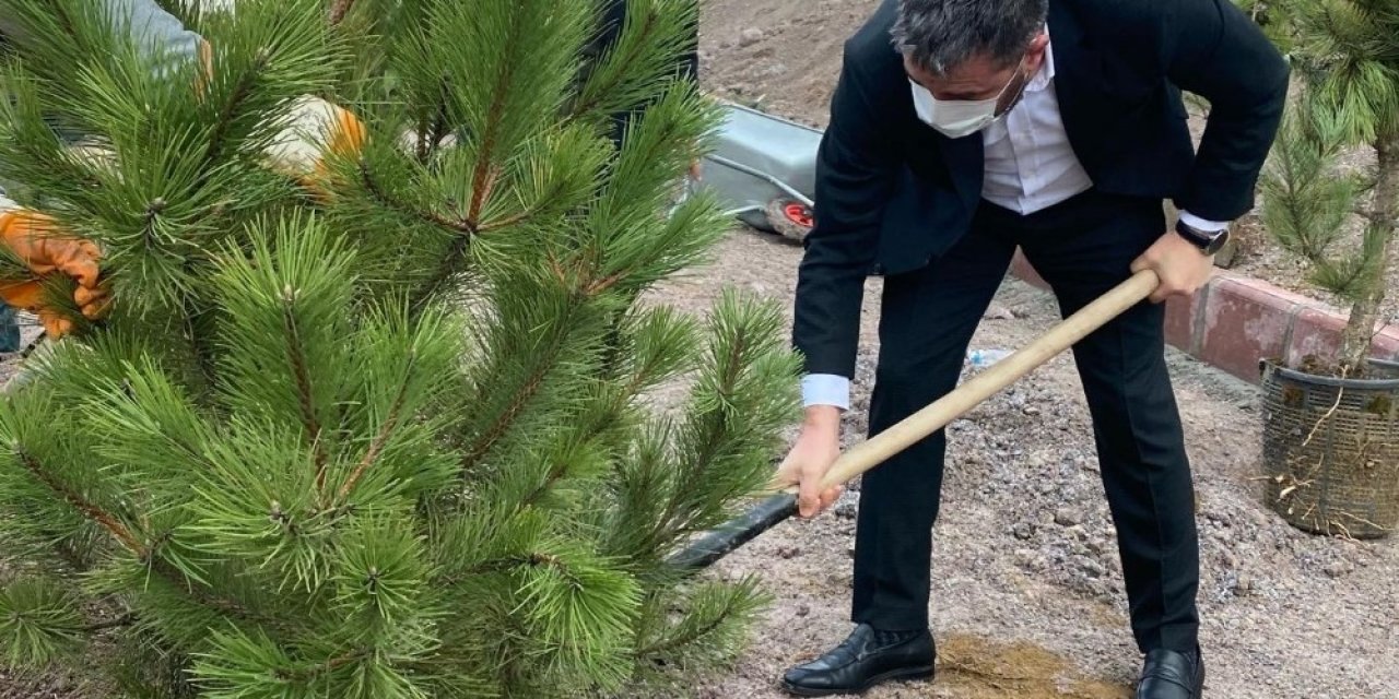 Pursaklar’da Ağaçlar Toprakla Buluştu