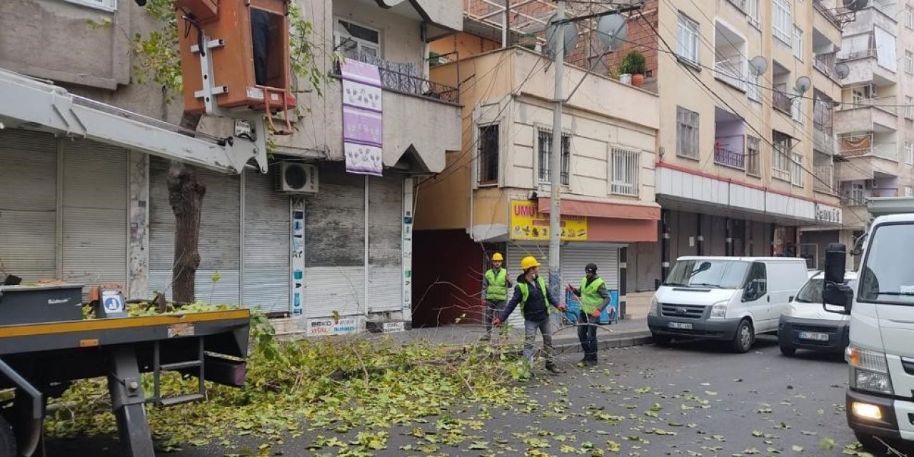 Bağlar’da Kuruyan Dallar Temizlenerek Ağaçlar Canlı Tutuluyor