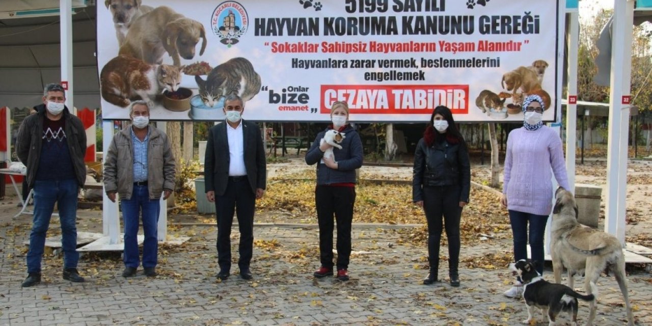 Koçarlı’ya Hayvan Hakları İle İlgili Bilgilendirme Pankartları Asıldı