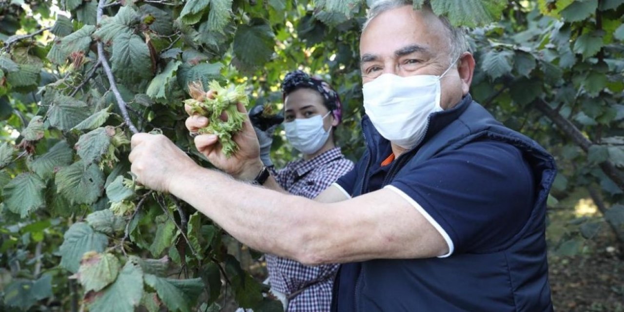 Başkanın Tmo Zaferi: Fındık Alımı 30 Nisan 2021’e Kadar Uzatıldı