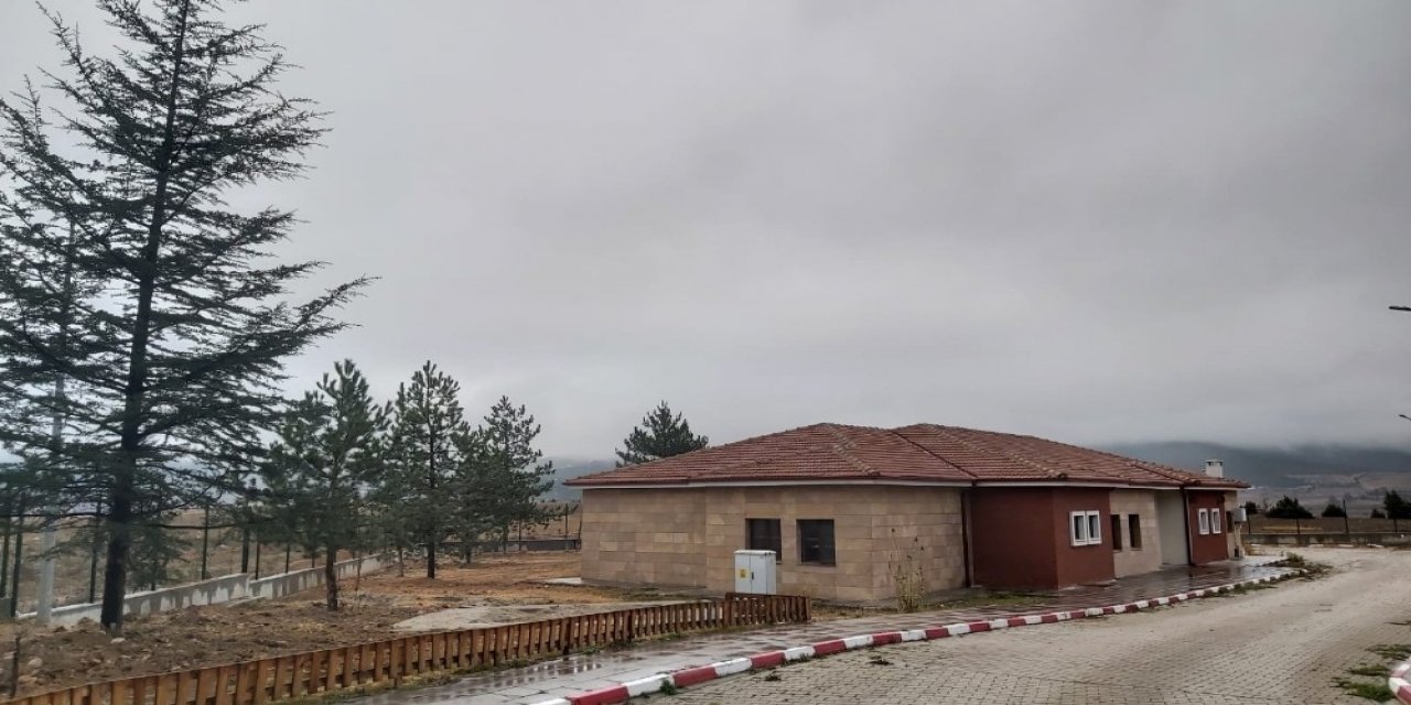 Kurum Bahçesini Ağaçlarla Donattılar
