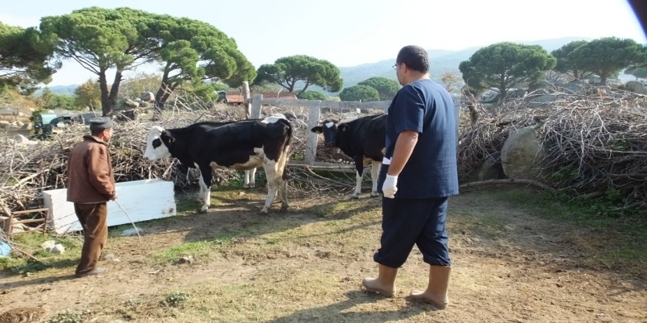 Burhaniye’de Bir Mahallede Daha Kısmi Karantina Uygulanmaya Başlandı