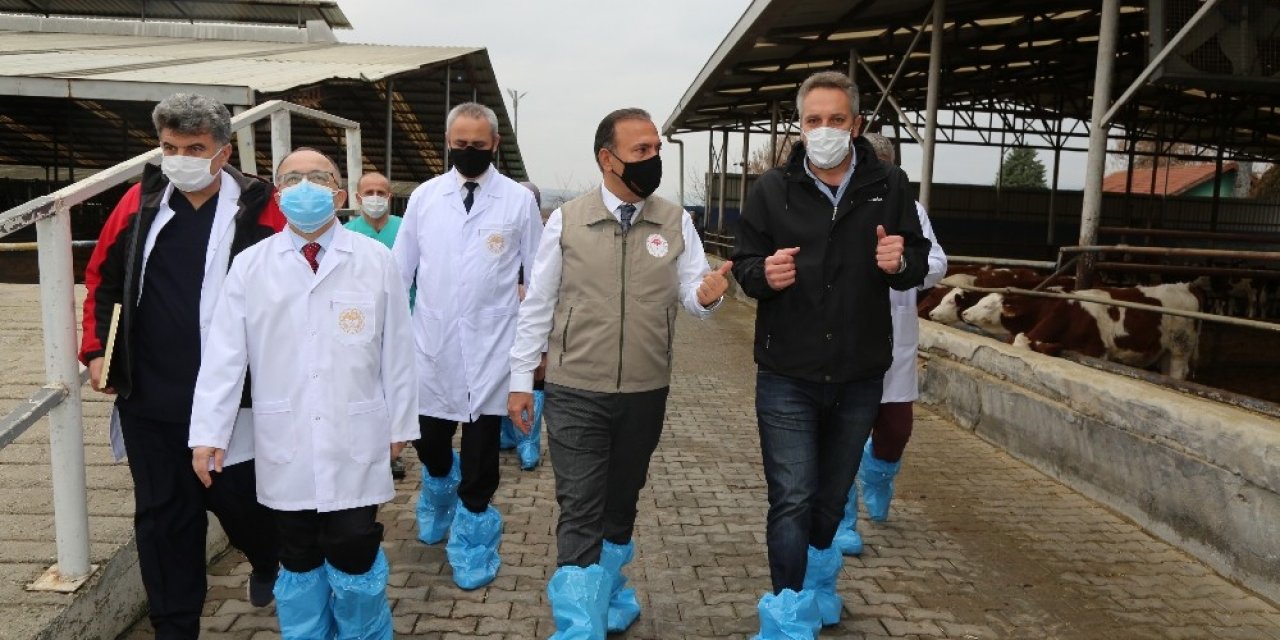 Yenişehirli Firmaya Hastalıklardan Ârî İşletme Belgesi