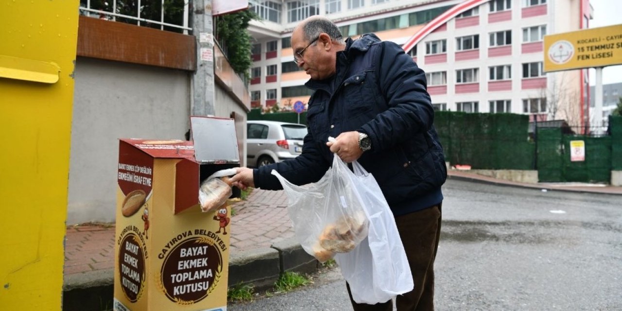 Çayırova’da Bayat Ekmekler Sokak Hayvanlarına Gidiyor