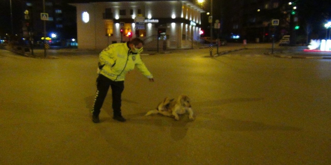 Polis Memuruyla Köpeğin Gülümseten Görüntüleri
